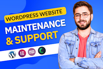 provide monthly wordpress website maintenance, help and support