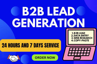 do data entry with b2b leads and web research