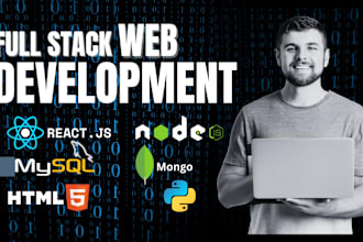 expert fullstack web development, javascript, reactjs nodejs