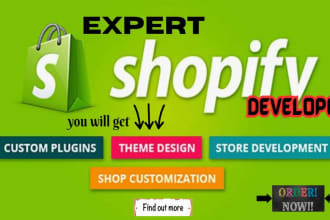 be your shopify expert developer, store development, fashion store, jewelry