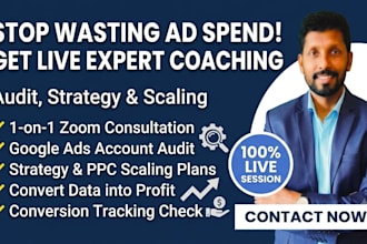 provide google ads consultation, strategy audit, PPC coaching