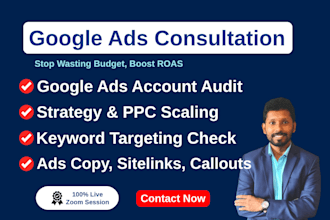 provide google ads consultation, campaign audit and PPC optimization