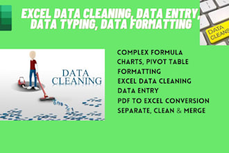 do data cleaning, data entry, data formatting, pdf to excel