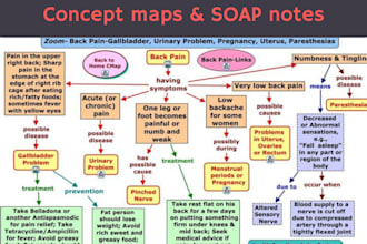 create a nursing concept map, soap note, and progress notes