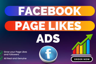 create facebook ads campaign to grow your page likes and followers