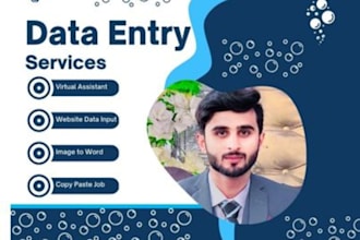do data entry, web scraping, extraction, and data mining