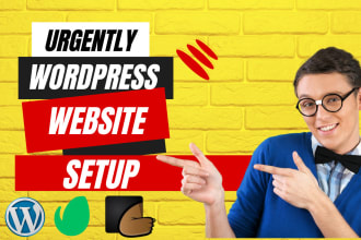 setup modern wordpress website design or blog design