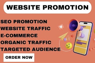 do organic website promotion or website traffic promotion