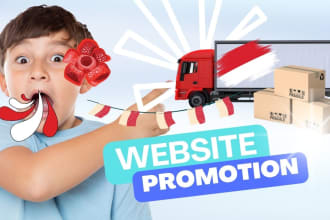 hopify dropshipping marketing manager ecommerce sales mentor website traffic