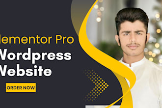 build, rebuild wordpress website with elementor