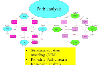 do structural equation modeling SEM with amos and smartpls