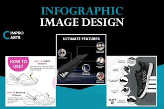 design a unique customized  and professional infographics