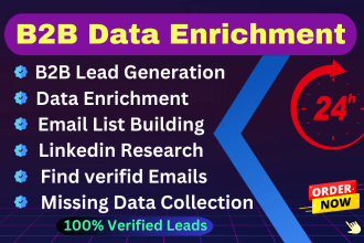 do data enrichment, b2b lead generation and missing data collect