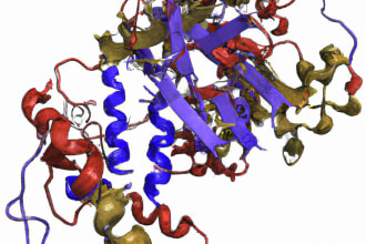 do protein ligand docking