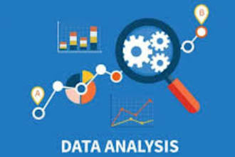 provide services of data analysis