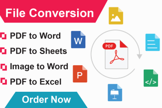 do file conversion, data capture and file transfer