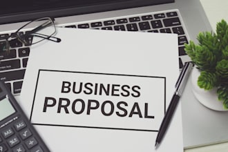 develop an investor ready business plan, grants writing and proposals