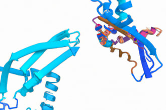 do protein protein docking