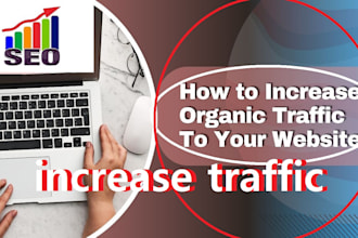 do fast organic website promotion to increase traffic