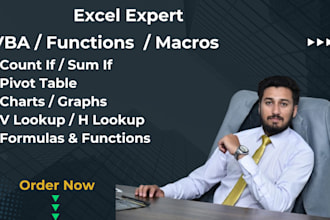 microsoft excel, excel formulas functions formatting pivot table v lookup