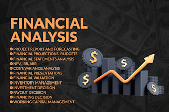 provide financial analysis,financial model,npv,irr,dcf,wacc,ratios,projections