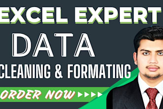 do data entry, formulas, data cleaning, and formatting data