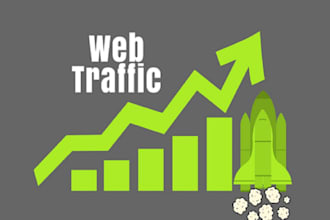 do website traffic promotion with effective ads campaigns