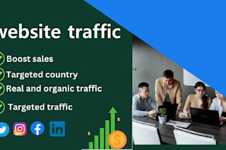 do website promotion and website traffic marketing organic ads campaign