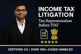 assist you as a chartered accountant in income tax and gst disputes and returns