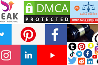 takedown harassing defaming reports to google, yt,tiktok,fb,ig,reddit,x by dmca