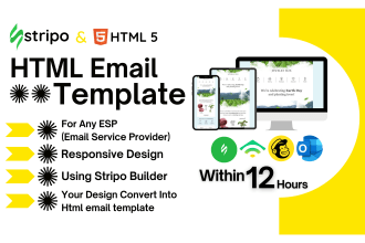 make professional email template using stripo and html