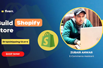 build shopify store or dropshipping ecommerce store