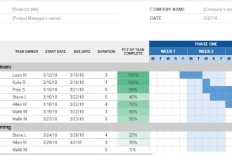 create your gantt chart , wbs , gap analysis , project plan