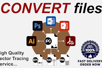 convert files, vector logo, raster file to high resolution