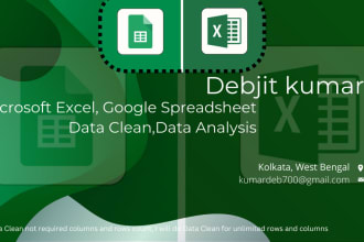 do microsoft excel and google spreadsheet data clean up and data analysis
