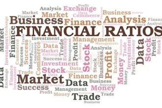 do financial analysis, ratio analysis, business valuations