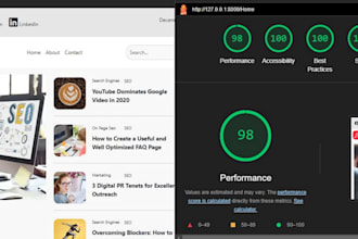 speed optimization for wordpress,custom site