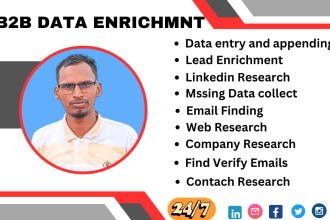do lead generation, data entry, and data enrichment