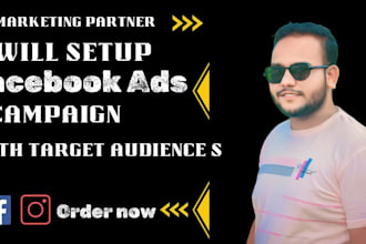 set up facebook and instagram ads for leads and sales