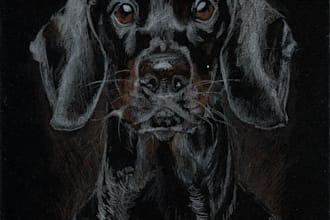 draw a beautiful portrait of your pet in color or graphite
