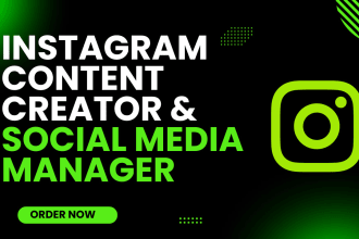 be your instagram social media marketing manager and content creator