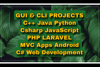 script python java cpp database projects and bots with gui