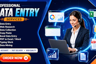 data entry low price,data mining , excel entry