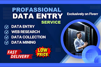 data entry low price,data mining , excel entry, in low price