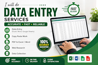 data entry low price,data mining , excel entry