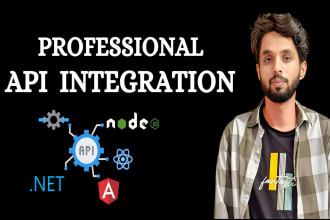 develop a custom API integration, stripe, or zapier automation