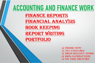 do accounting and finance reports, portfolio and analysis