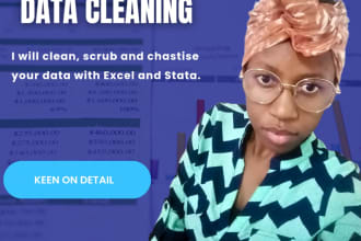 neatly clean data with stata and excel