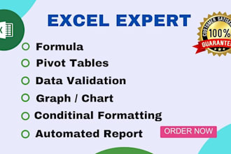 create and fix excel formula, pivot table, chart, macro