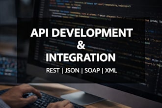 fix or develop any API integration